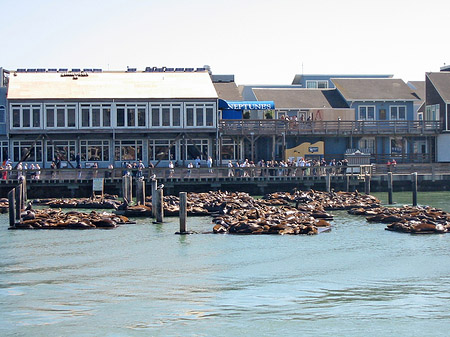 Foto Fishermans Pier 39 bis 45 - San Francisco