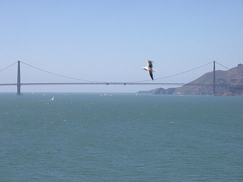 Foto Golden Gate Bridge