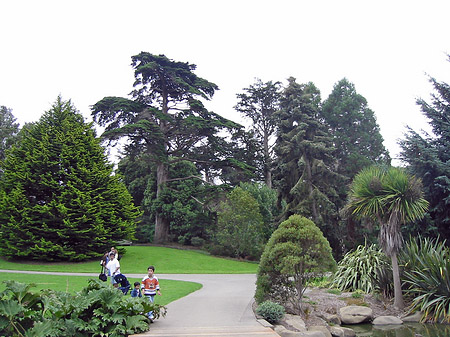 Golden Gate Park mit Botanischen Garten - Kalifornien (San Francisco)