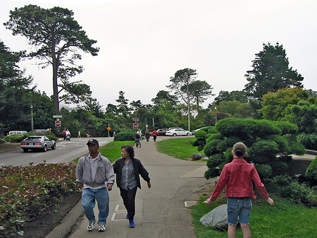 Fotos Golden Gate Park mit Botanischen Garten | San Francisco