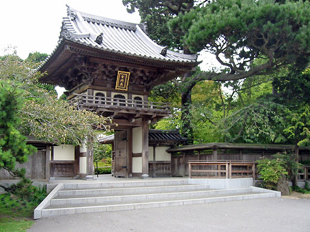 Golden Gate Park mit Botanischen Garten - Kalifornien (San Francisco)