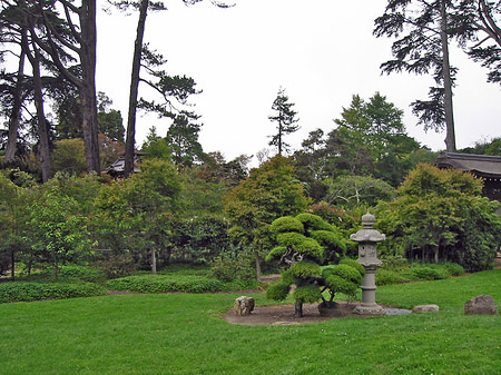 Fotos Golden Gate Park mit Botanischen Garten