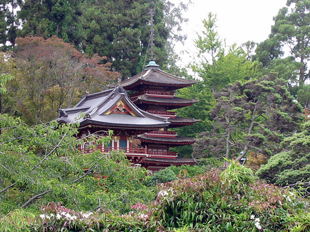 Golden Gate Park mit Botanischen Garten - Kalifornien (San Francisco)