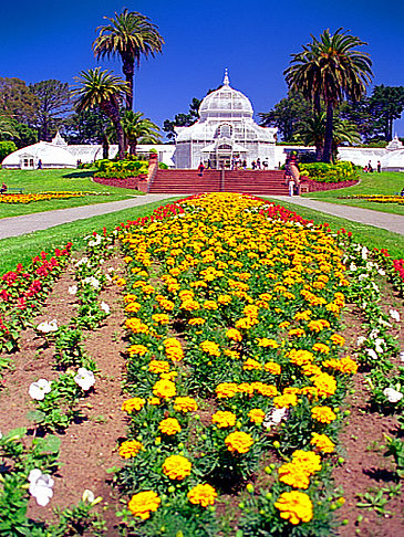 Conservatory of Flowers Impressionen Reiseführer  