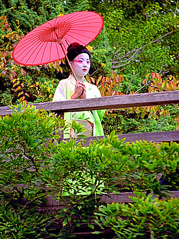  Fotografie Reiseführer  in San Francisco Geisha im Park