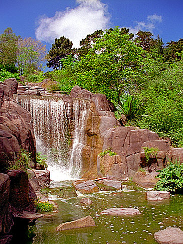 Golden Gate Park Ansicht Attraktion  von San Francisco 