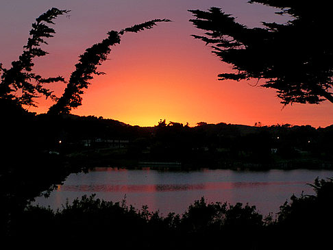 Harding Park Foto Sehenswürdigkeit  