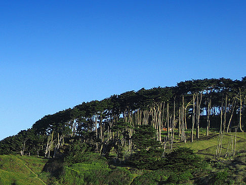  Bild Sehenswürdigkeit  Baumbestandene Parklandschaft