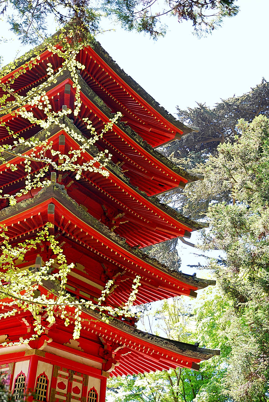  Bild Sehenswürdigkeit  Die farbenfrohe Pagode im Japanese Tea Garden