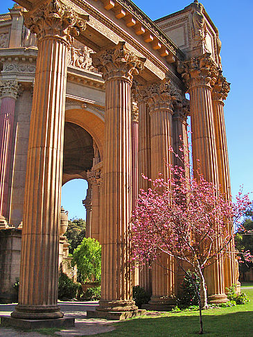 Palace of Fine Arts Foto 