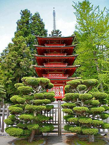 Japanese Tea Garden Fotos