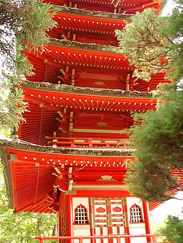 Foto Golden Gate Park