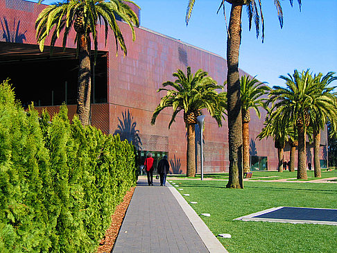 De Young Memorial Museum Fotos