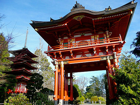 Fotos Golden Gate Park